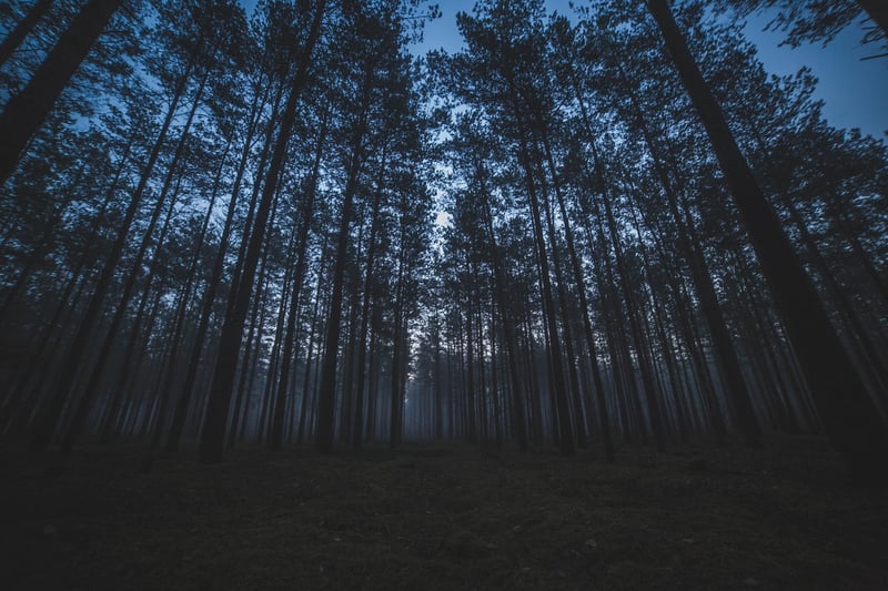 Quiet Mysteries